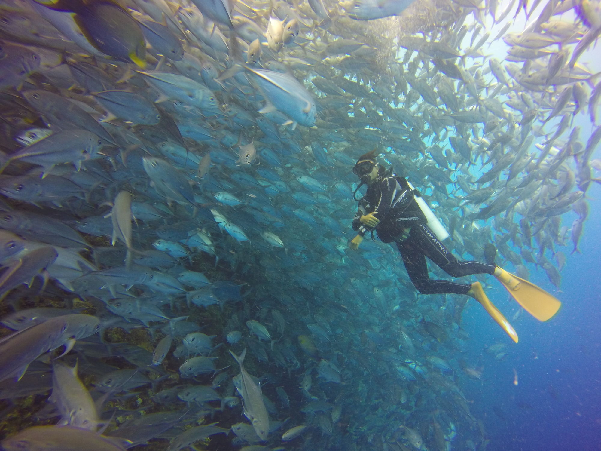 Sipadan Mangrove Resort Tawau Buitenkant foto